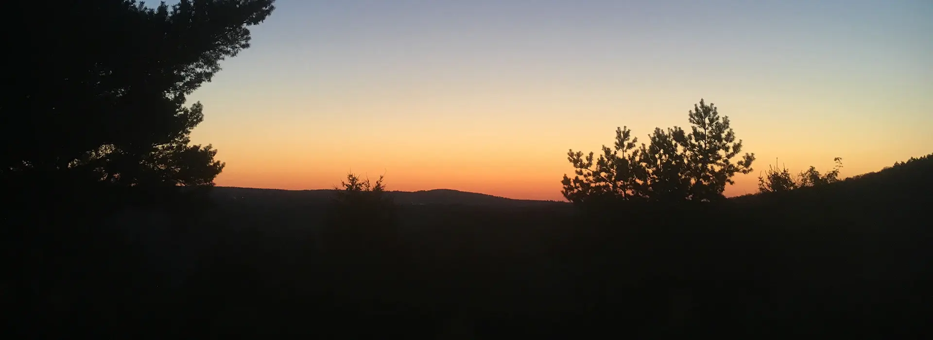 Wald im Sonnenuntergang