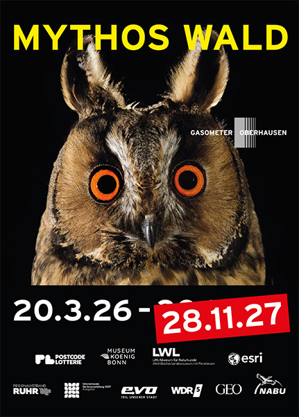 Plakat der Ausstellung Mythos Wald